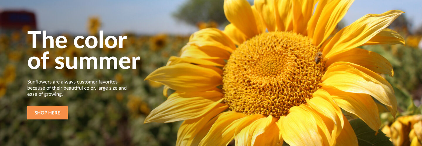 Urban Farmer Seeds, Plants and Garden Supplies