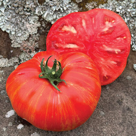 Beefy Red, Organic Tomato Seeds - Packet image number null