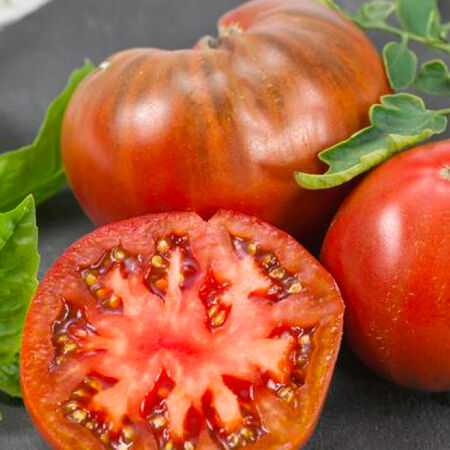 Chef's Choice Purple, Tomato Seeds - Packet image number null