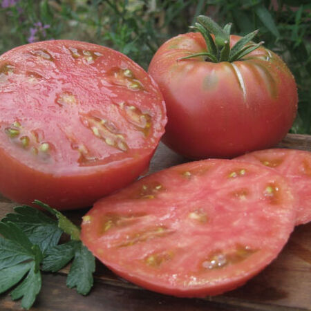 Aunt Ginnys Purple, Tomato Seeds - Packet image number null