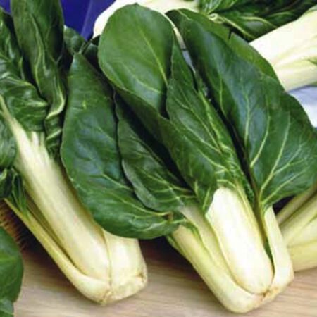 Barese, Swiss Chard Seeds - Packet image number null