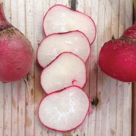 Cherry Belle, Radish Seeds