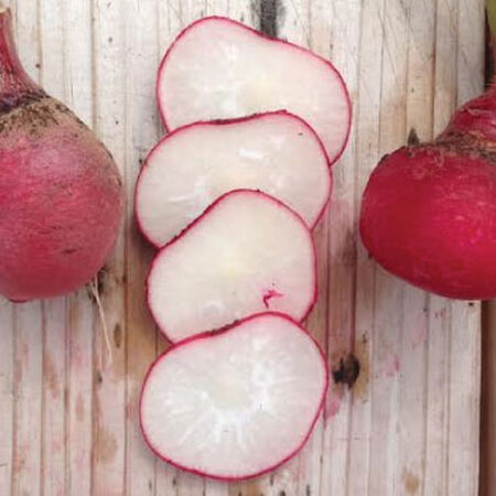 Cherry Belle, Radish Seeds - 25 Pounds image number null