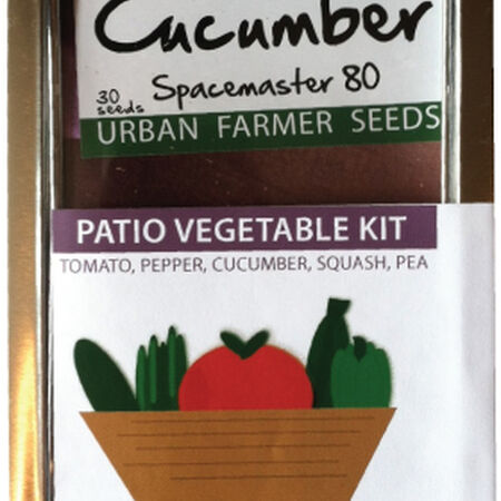 Patio Vegetable Seed Kit, Garden Gifts - Seed Kit image number null