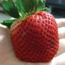 Giant, Strawberry Seeds - Packet thumbnail number null