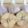 Spanish Roja, Garlic - 1/4 Pound thumbnail number null