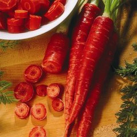 Atomic Red, Carrot Seeds image number null