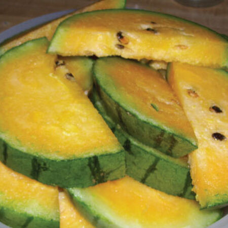 Orange Crunch, (F1) Watermelon Seeds image number null