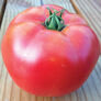 Rutgers, Tomato Seeds - Packet thumbnail number null
