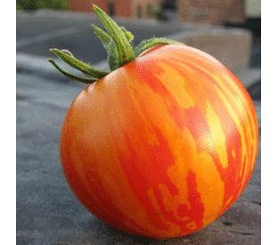 Red Zebra, Tomato Seeds