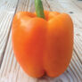 Orange King, Pepper Seeds thumbnail number null