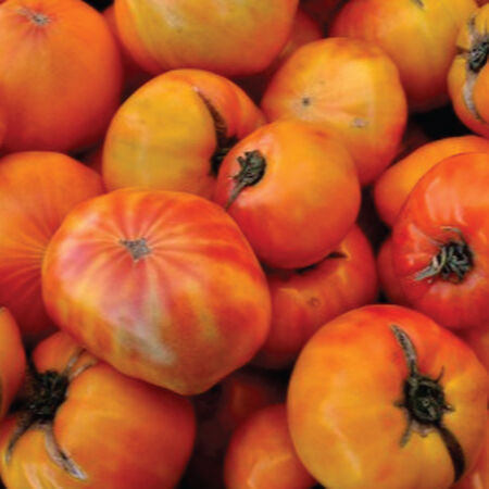 Striped German, Tomato Seeds - Packet image number null