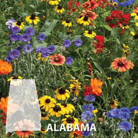 Alabama Blend, Wildflower Seed