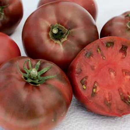 Carbon, Organic Tomato Seeds - Packet image number null