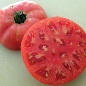 Sudduth's Strain Brandywine, Tomato Seeds