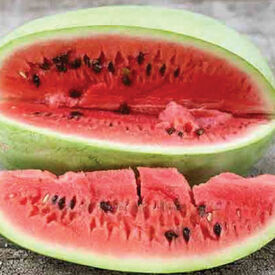 Charleston Gray, Watermelon Seeds