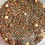 Bean Mix, Sprout Seeds - 1 Ounce thumbnail number null