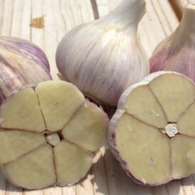 Music, Garlic Bulbs