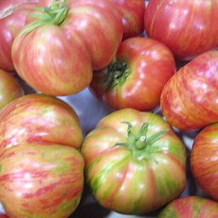 Vintage Wine, Tomato Seeds - Packet image number null