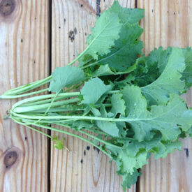 Dwarf Siberian, Kale Seed