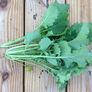 Dwarf Siberian, Kale Seed - Packet thumbnail number null