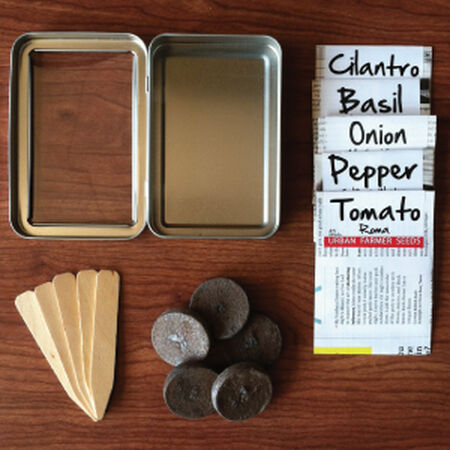 Salad Garden Seed Kit, Garden Gifts - Seed Kit image number null
