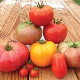 Heirloom Blend, Tomato Seeds