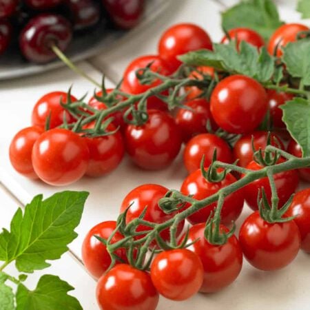 Profi-Frutti™ Cherry, (F1) Tomato Seeds - Packet image number null