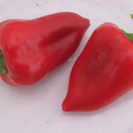 Salsa, Pepper Seeds - Packet image number null