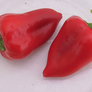 Salsa, Pepper Seeds - Packet thumbnail number null