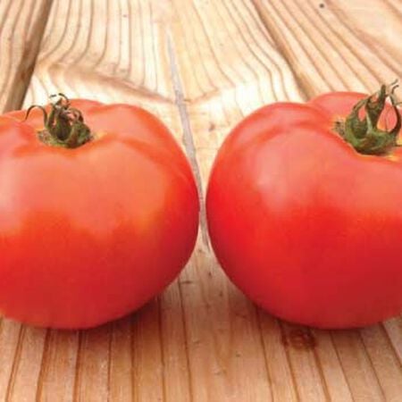Marglobe Supreme, Tomato Seeds - Packet image number null
