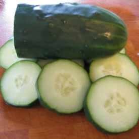 Straight Eight, Cucumber Seeds