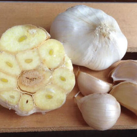 California Early, Garlic Seed image number null