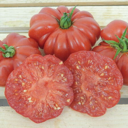 Costoluto Genovese, Tomato Seeds - 1/4 Ounce image number null