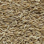 Jerry Oats, Grains - 1 Pound thumbnail number null