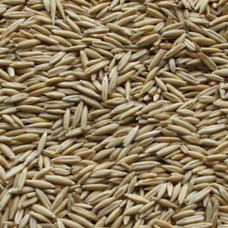 Jerry Oats, Grains - 1 Pound image number null