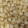 Hickory King White, Corn Seed - Packet (1 oz.) thumbnail number null
