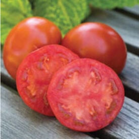 Sweet Seedless, (F1) Tomato Seeds