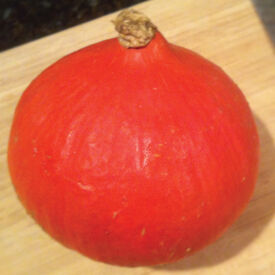 Red Kuri, Organic Squash Seeds