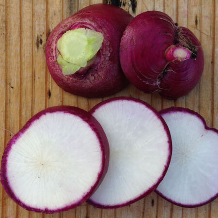 Purple Plum, Radish Seeds - Packet image number null
