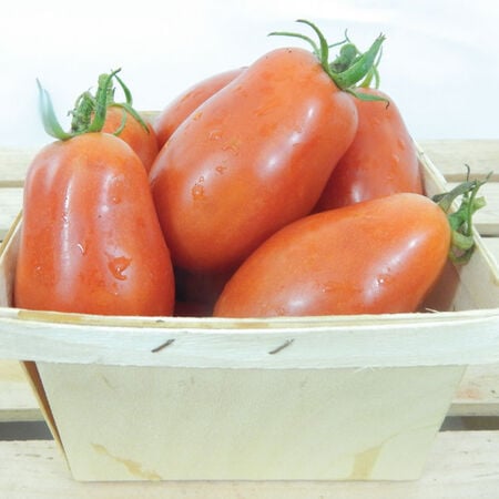 San Marzano, Tomato Seeds - Packet image number null