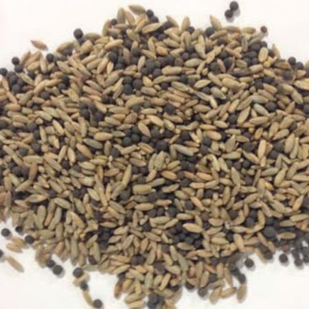 Rye and Vetch Blend, Blends - 1 Pound image number null