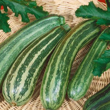 Green Zebra F1, Squash Seeds - Packet image number null