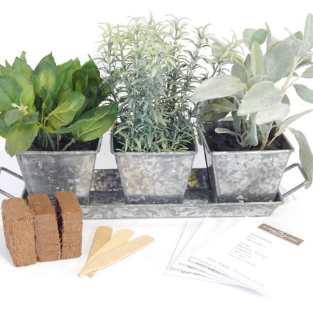 Galvanized Herb Pots Set - Windowsill Planter Kit