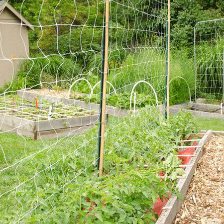 Garden Trellis Netting, Crop Supports - 4x100 ft. image number null