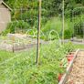 Garden Trellis Netting, Crop Supports - 4x100 ft. thumbnail number null