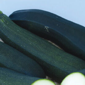 Dark Green, Zucchini Seeds