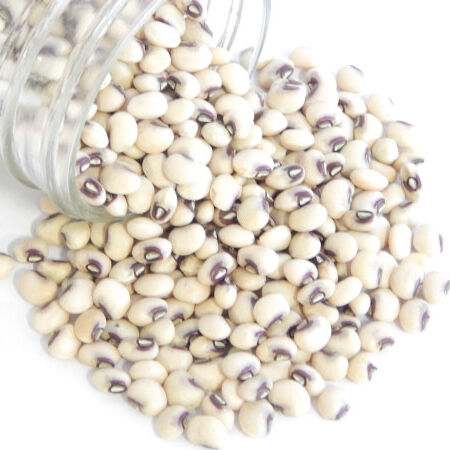 Pinkeye Purple Hull, Cowpea Seeds - Packet image number null