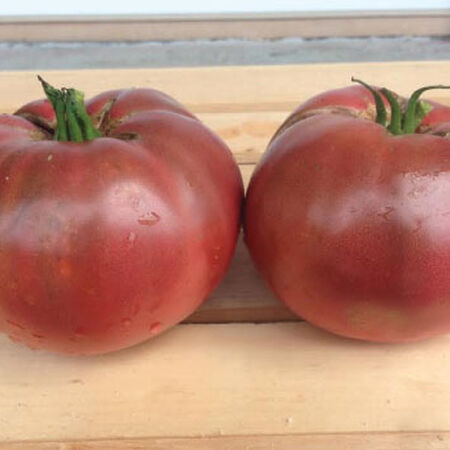 Cherokee Purple, Tomato Seeds - Packet image number null