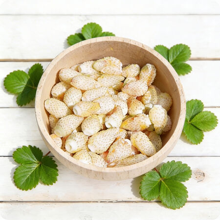 White Solemacher, Strawberry Seeds